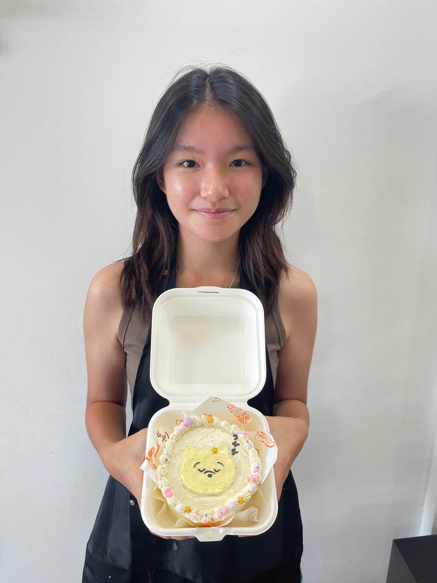 Learn: Bento Cake decorating & piping