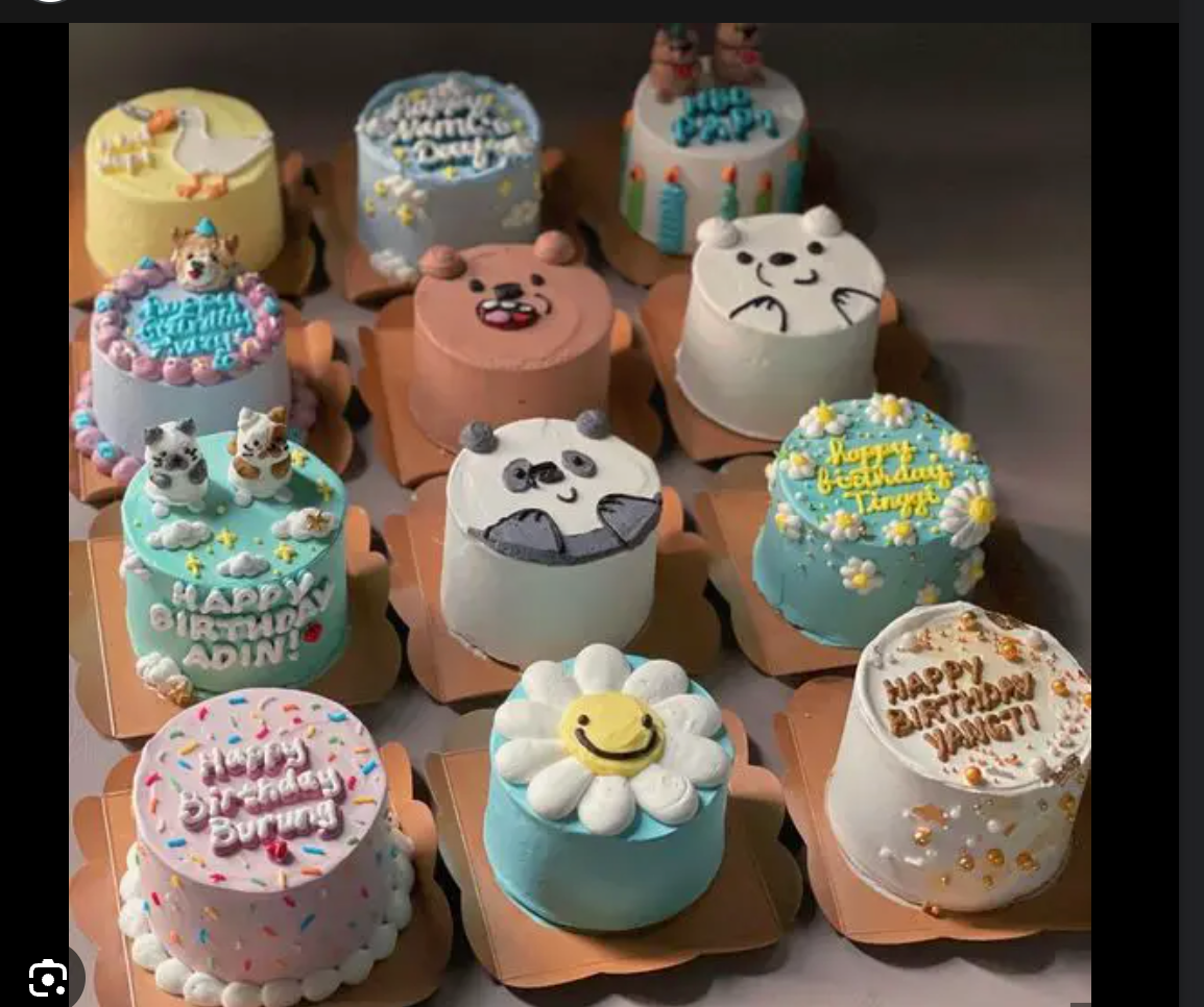 Learn: Bento Cake decorating & piping