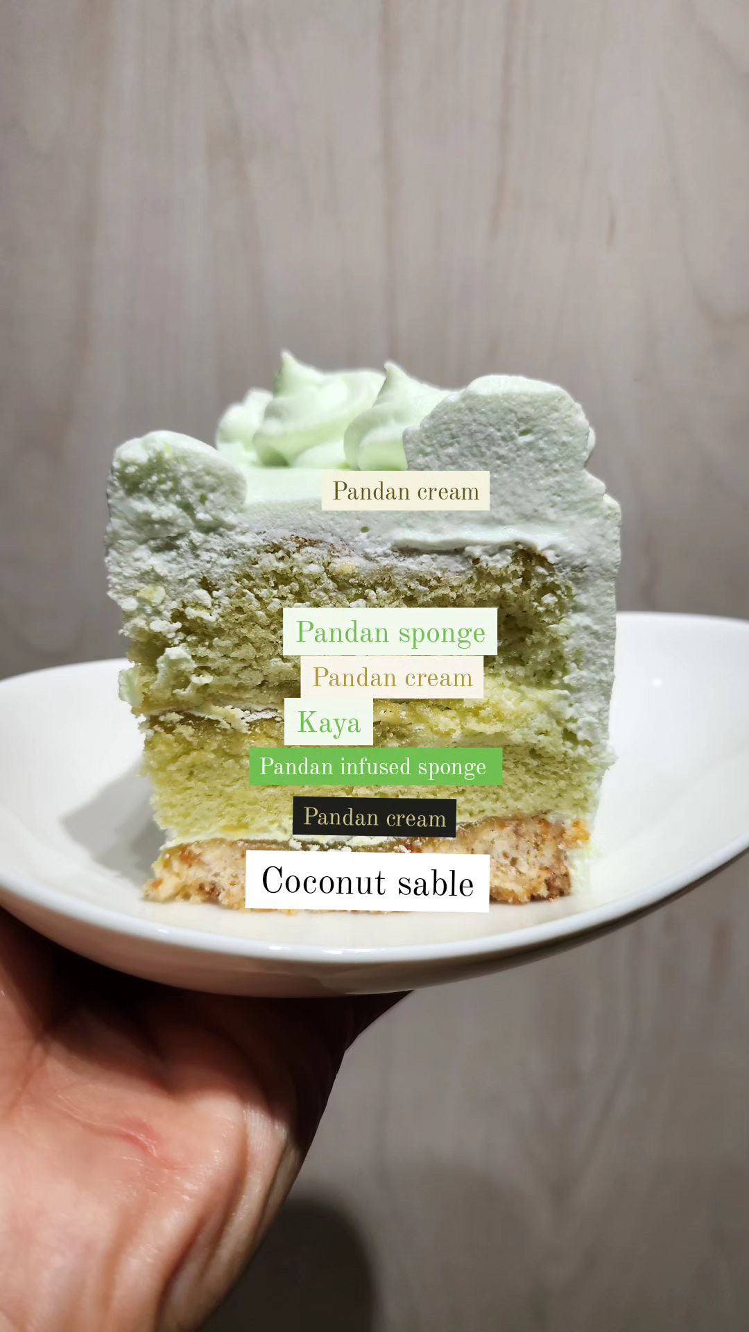 KAYA COCONUT SABLE 6”