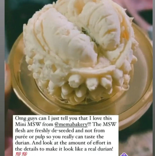 Best Seller: Mini MSW 3D durian