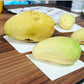 Mango Mango 3D Cake