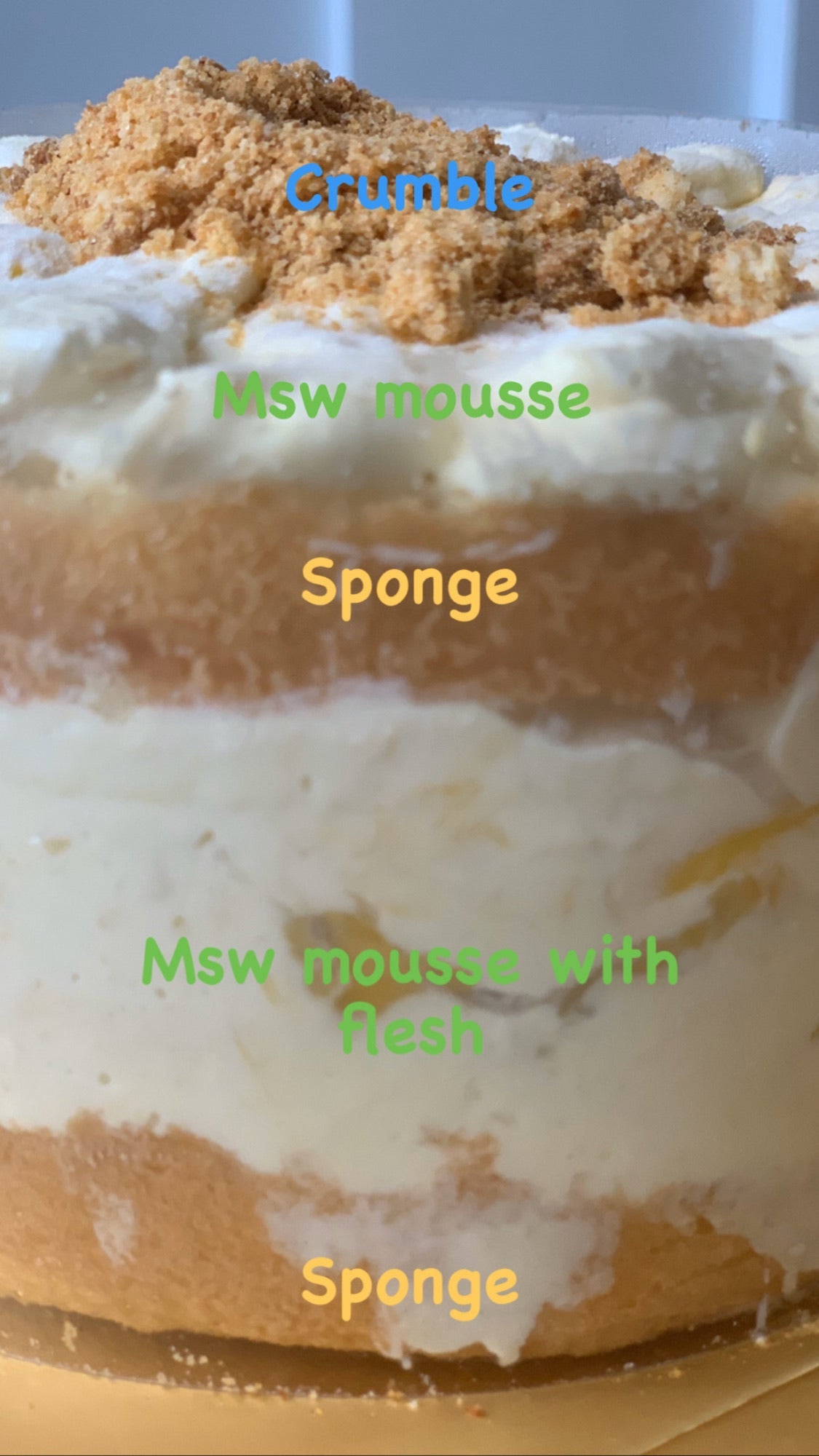 MSW Durian Fruit Mousse Cake