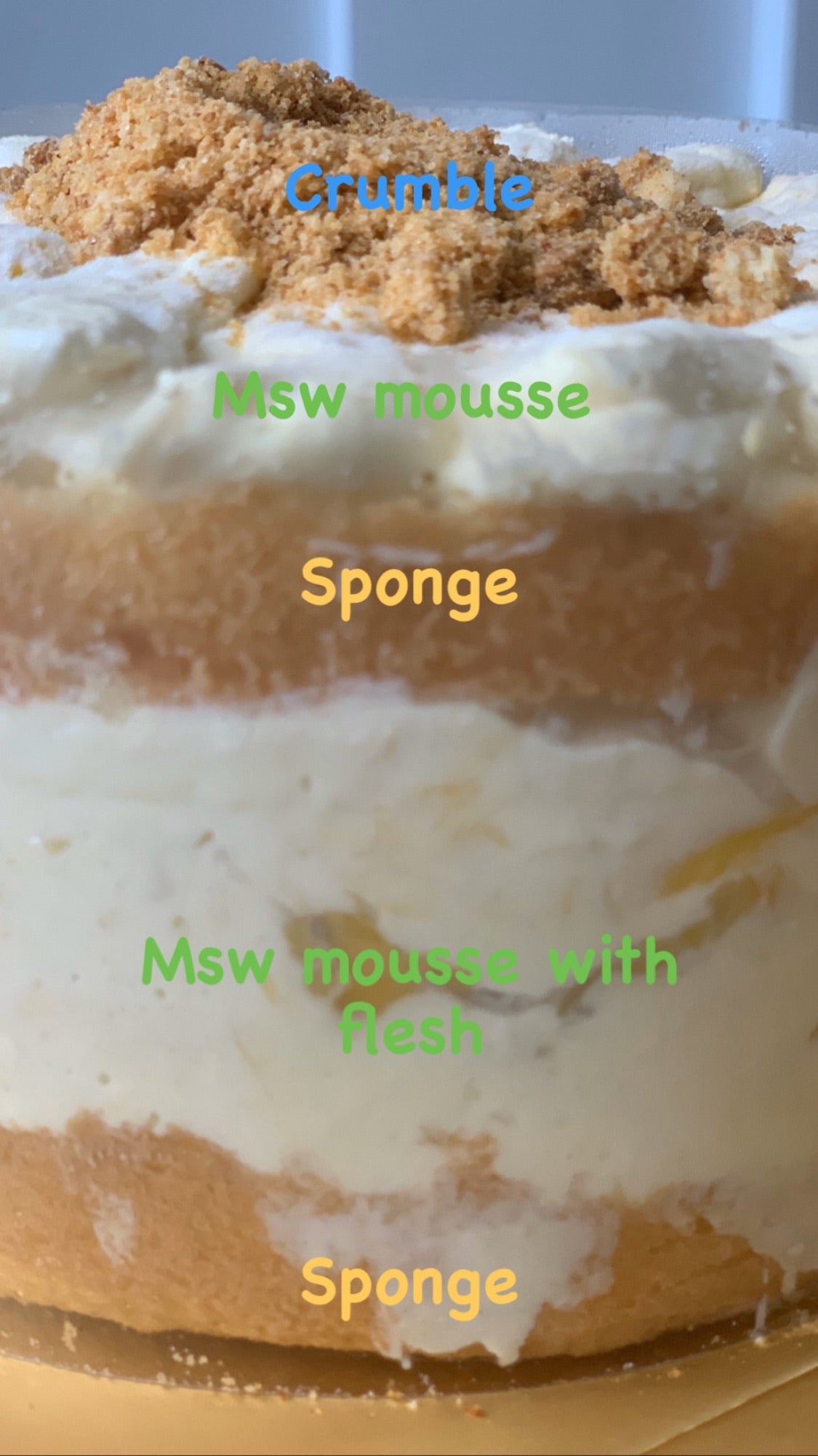 MSW Fruit Mousse Cake